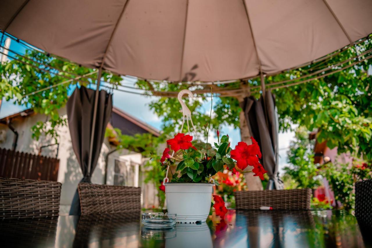 Pensiunea Happy Flowers Greci Ngoại thất bức ảnh