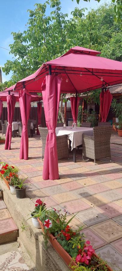 Pensiunea Happy Flowers Greci Ngoại thất bức ảnh